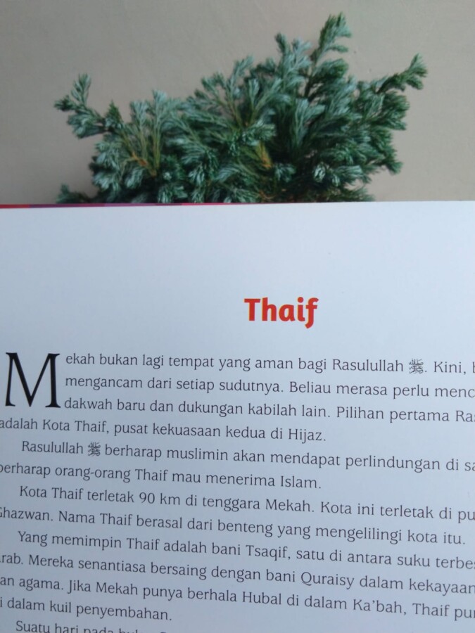 Momen Paling Relatable (Buat Saya): Saat Nabi Healing ke Thaif